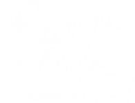 swinelifebbq