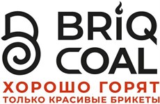 BRIQCOAL